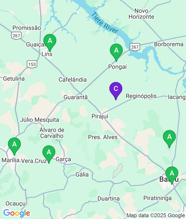 Sao Paulo Available Airport Options